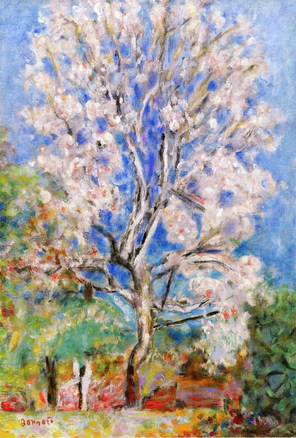Pierre Bonnard, Badem u cvatu, 1930.