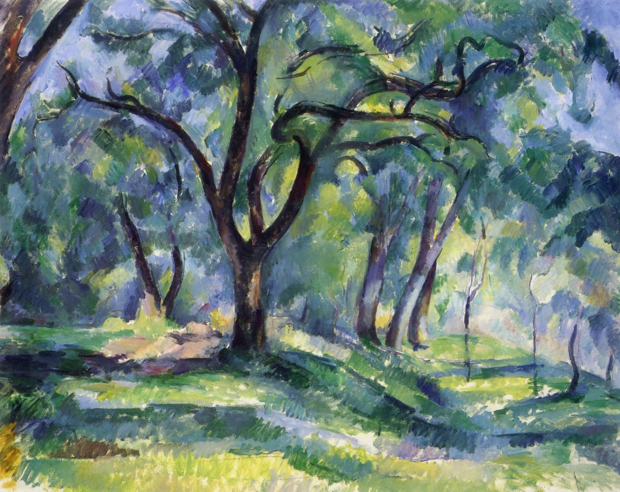 Paul Cezanne, Šuma, 1890-ih
